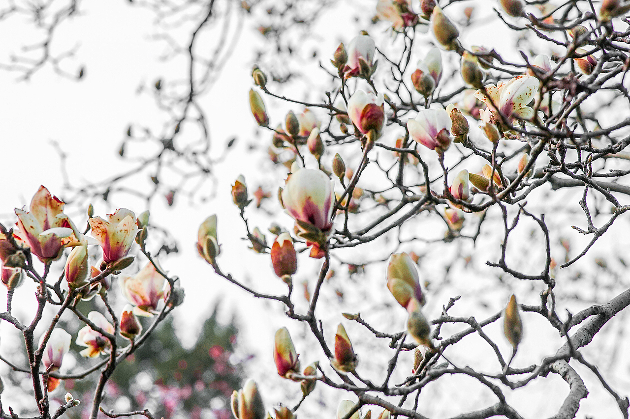 城市风貌系列6（图ZMzYzMTQ1OTg0） - 风光摄影 - 站酷设计师莫潘原创素材 - 站酷ZCOOL