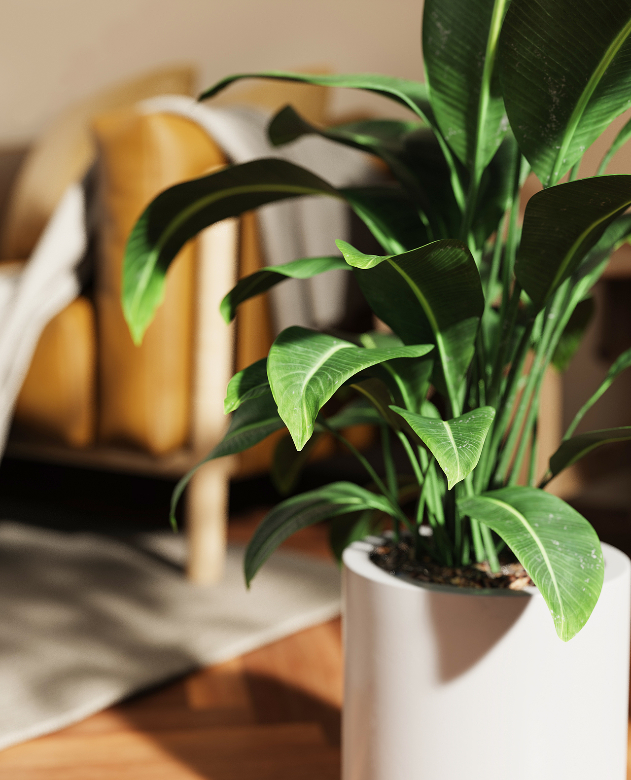 Bang&Olufsen音箱和场景渲染