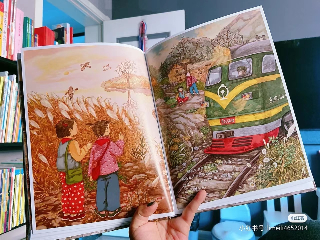 绘本《致我们亲爱的故乡》二印的签绘明信片