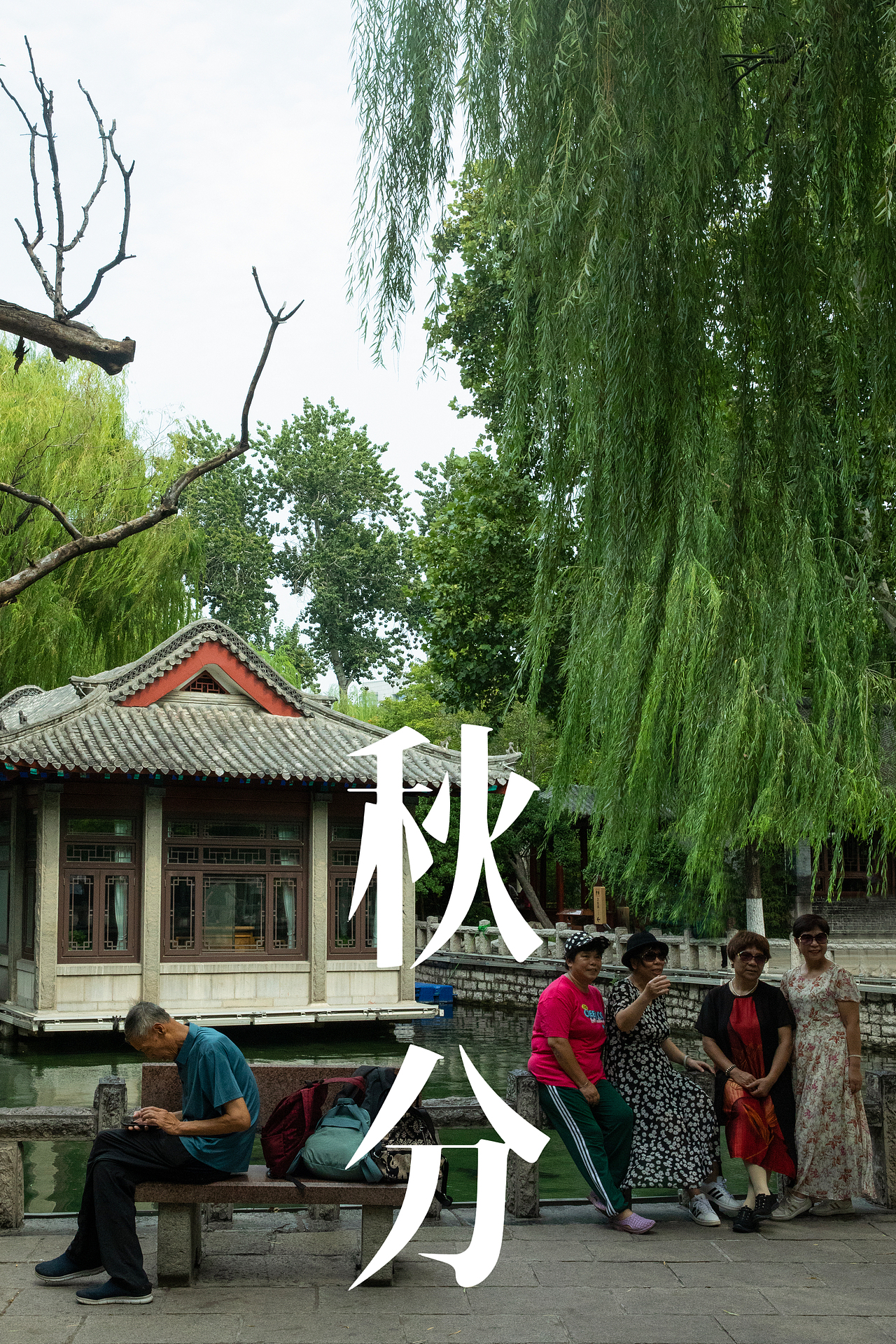 颐莲|秋分节气企划短片