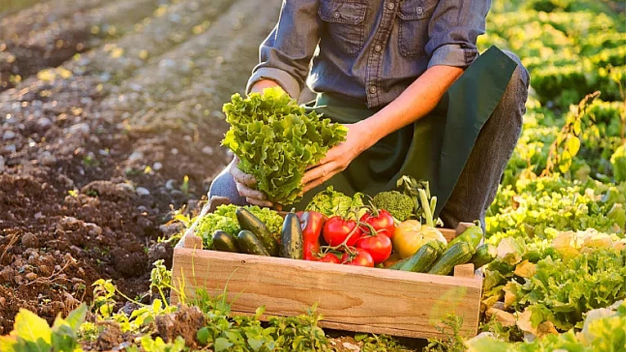 湘溪土货（图ZMzQxODA3NzY0） - 品牌 - 站酷设计师帅气芋泥原创素材 - 站酷ZCOOL