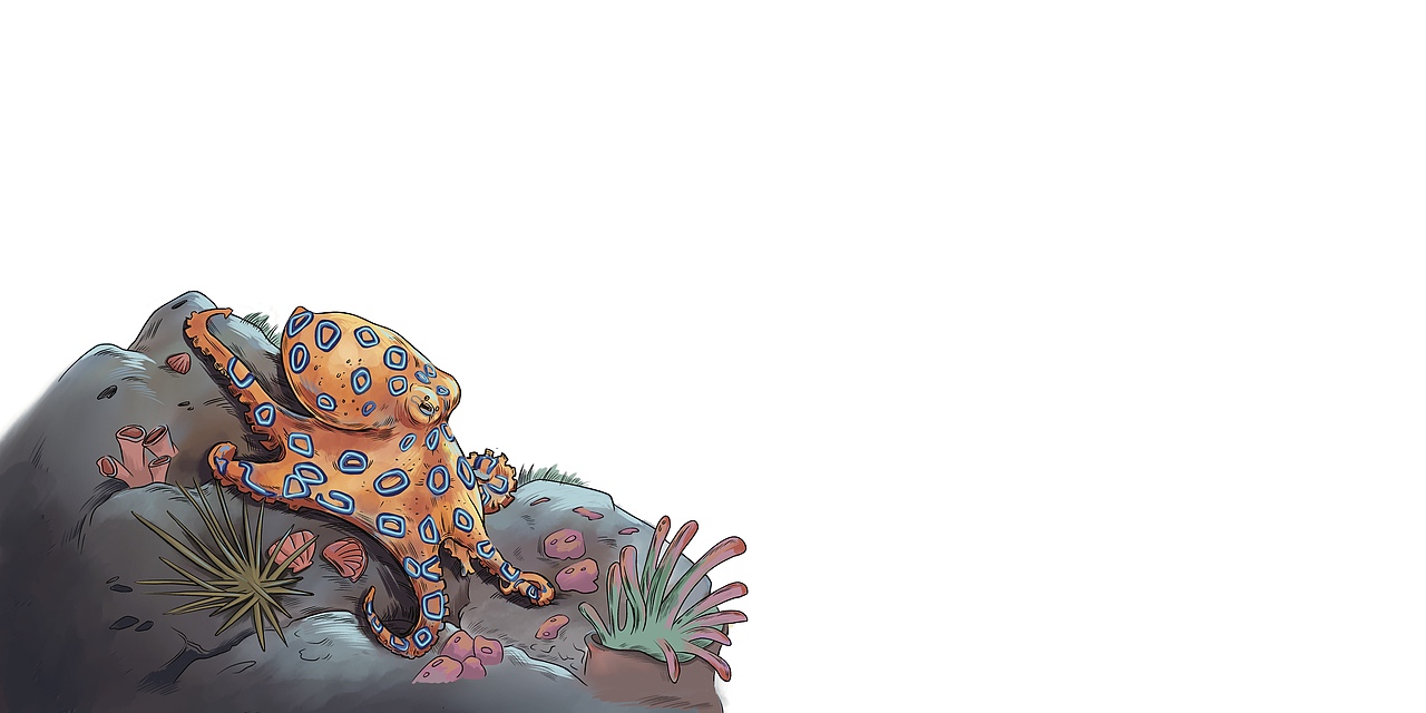 《大洋洲的神奇动物》绘本