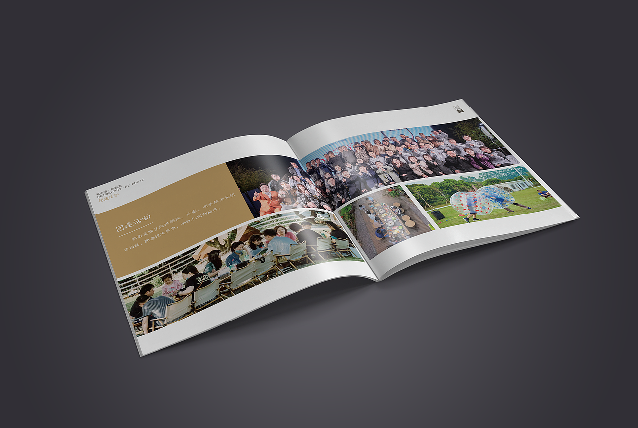 【画册设计】-鹤影里民宿-WS·M