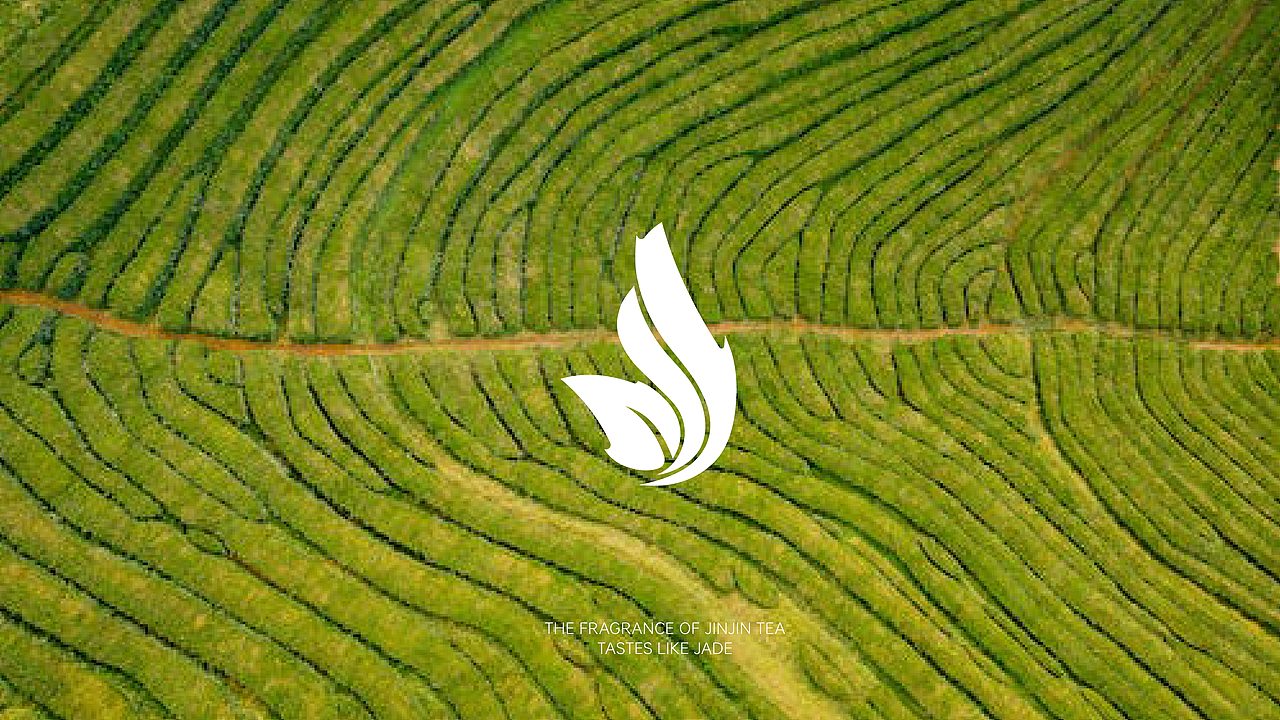 瑾茶品牌提案——茶中瑾瑜(图ZMzU2MTYzODAw) - 品牌 - 站酷设计师WuTangRZA原创素材 - 站酷ZCOOL
