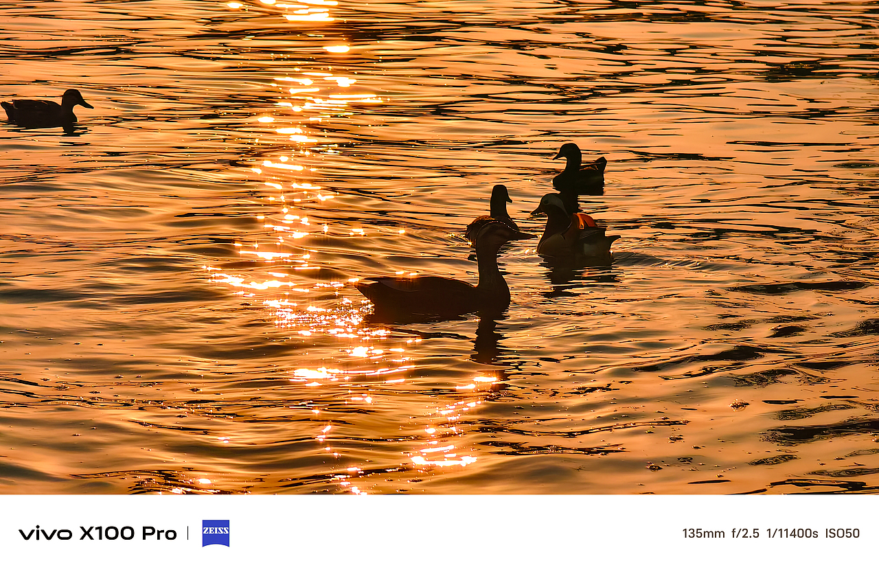 VIVOX100Pro悬日样片合作拍摄