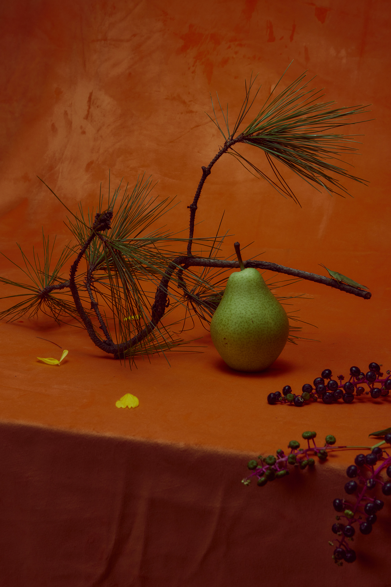 像画画一样拍摄（图ZMzUxNzEwMDUy） - 产品摄影 - 站酷设计师噪想Makemull原创素材 - 站酷ZCOOL