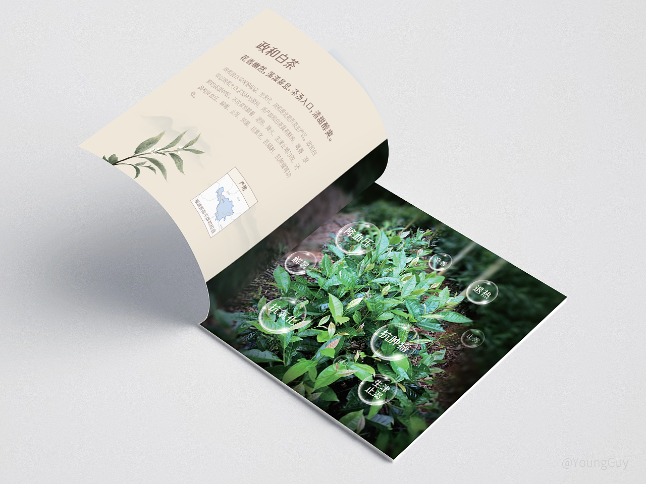 茶艺类型产品宣传画册