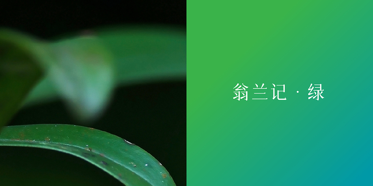 翁兰记标志方案#创作加油站#（图ZMzEzOTAxMjcy） - Logo - 站酷设计师老周品牌LOGO设计原创素材 - 站酷ZCOOL