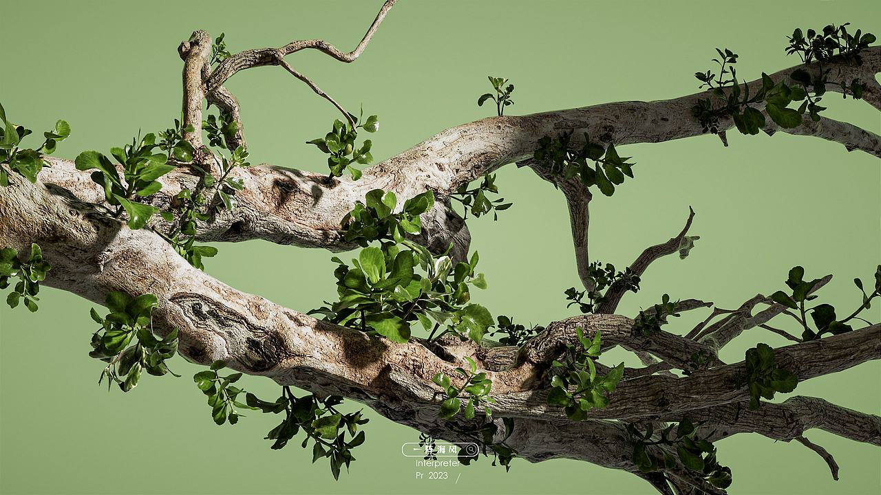 C4D-猫王音响临摹动态案例