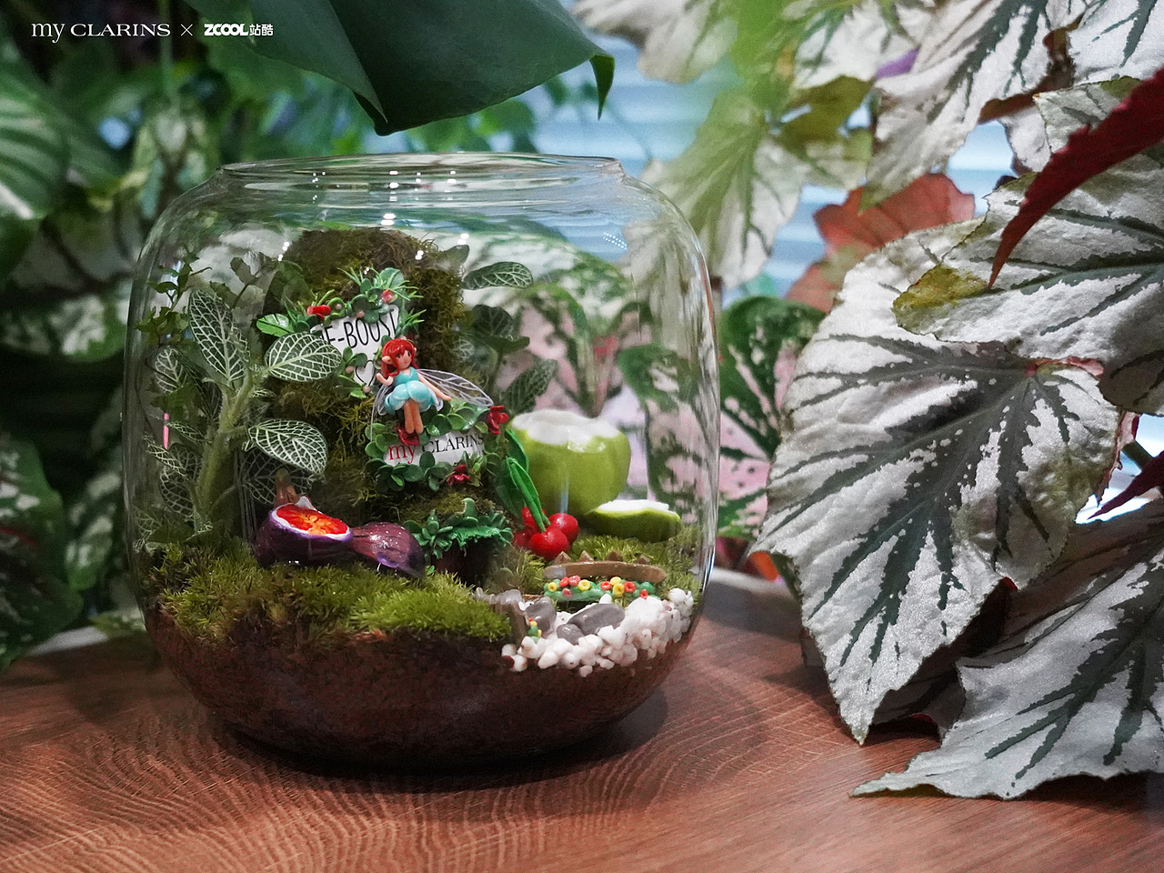 「好食肌长绽放」空瓶改造丨植愈精灵小屋 微景观