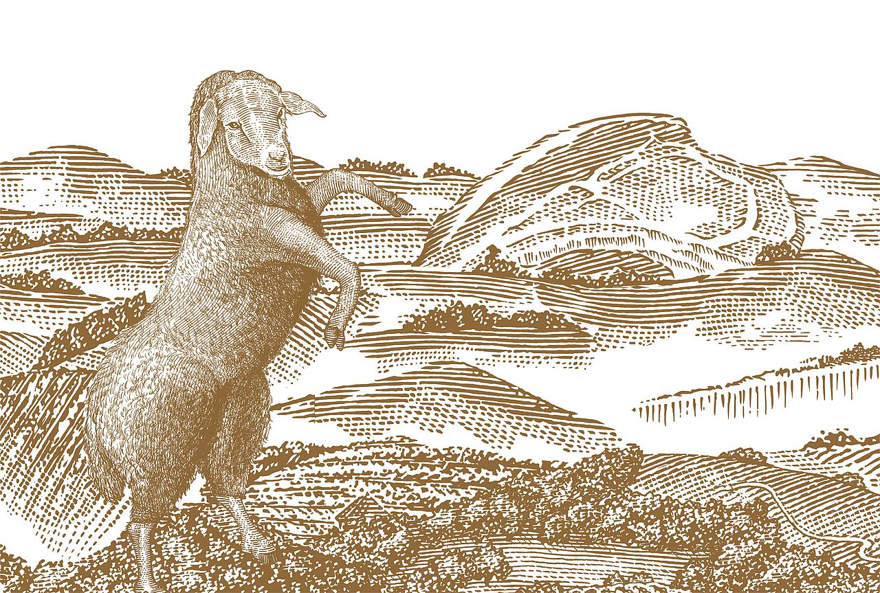 草地派对 I 每一天都是一场不尽的派对