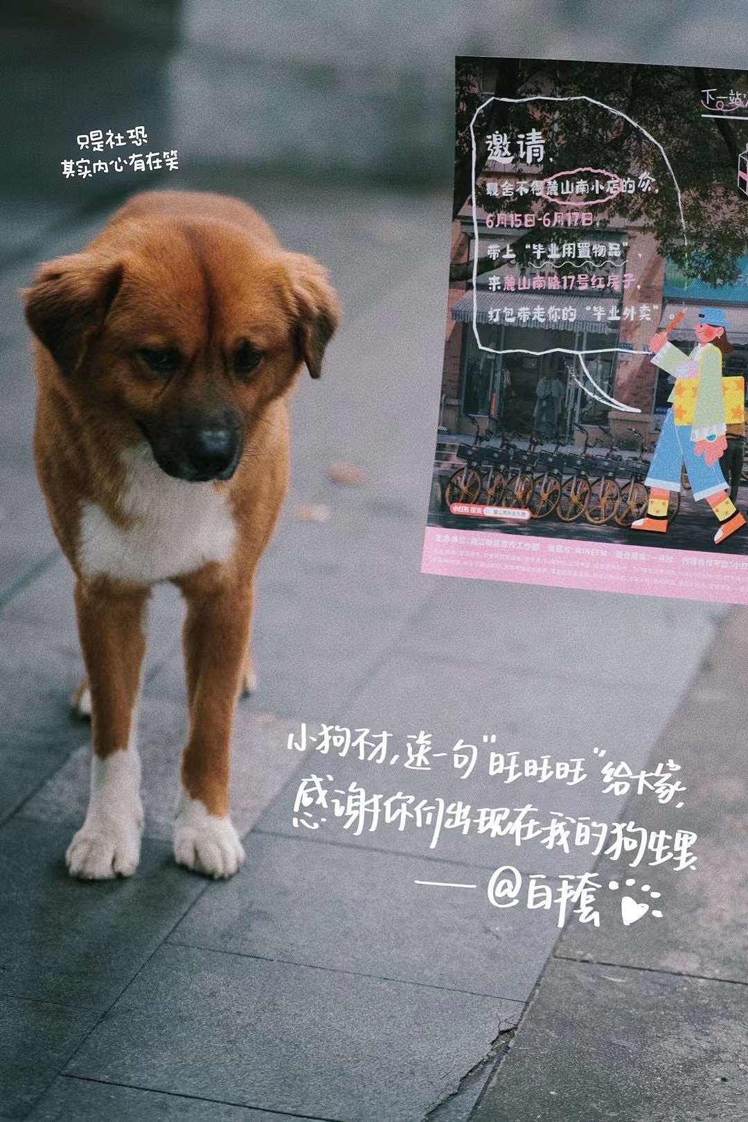 下一站，麓山南视觉设计：火爆长沙，给毕业生的礼物（图ZMzQzNDMzOTU2） - 宣传物料 - 站酷设计师一点绘原创素材 - 站酷ZCOOL