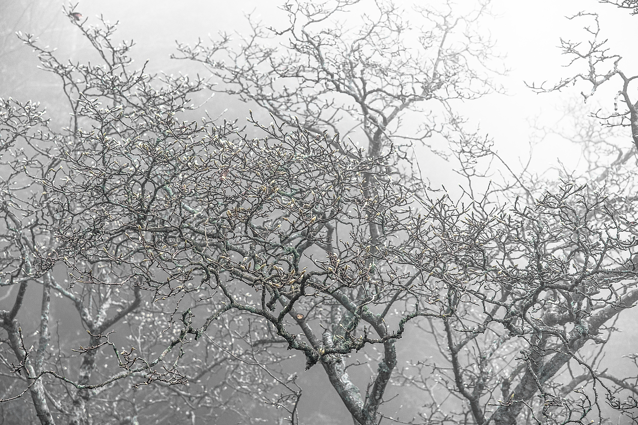 风光摄影系列3（图ZMzU2NzA1ODI0） - 风光摄影 - 站酷设计师莫潘原创素材 - 站酷ZCOOL