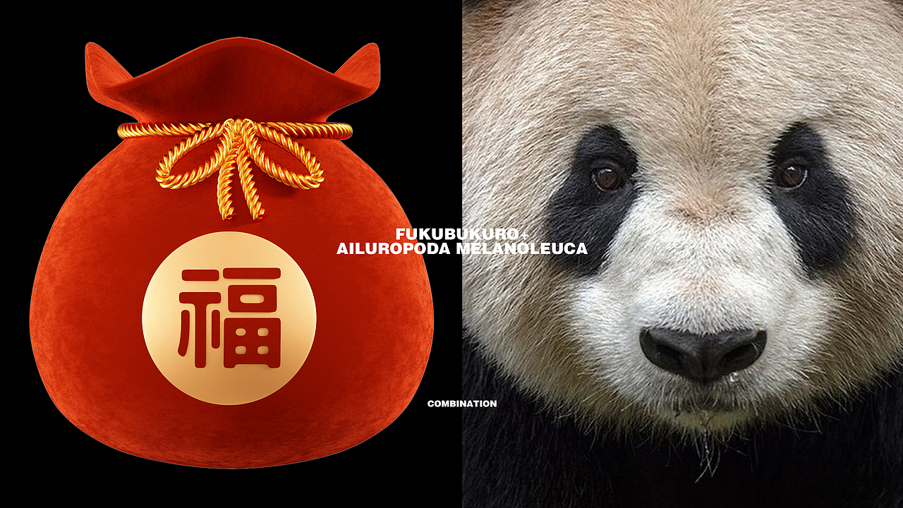 福袋熊猫ip设计——子非乌鸦（图ZMzQ4NDMyOTY4） - IP形象 - 站酷设计师子非乌鸦原创素材 - 站酷ZCOOL