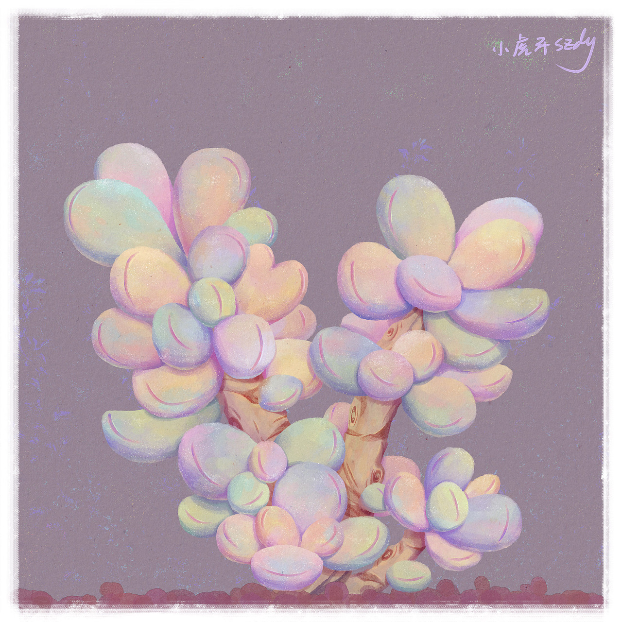 一些有趣的植物