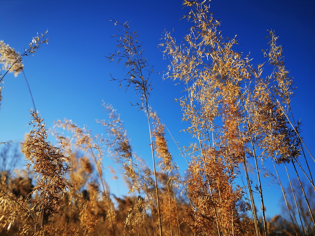 个人摄影作品集