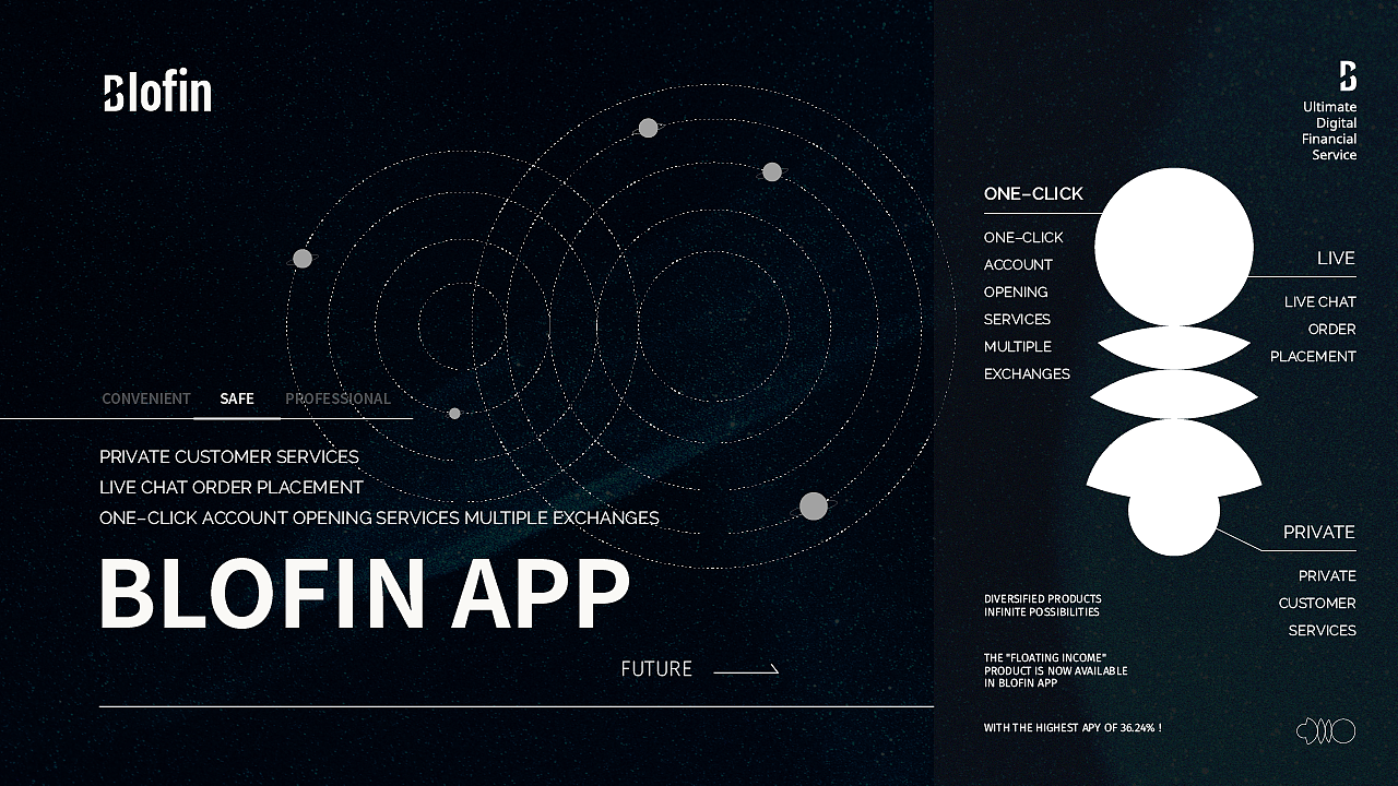 【品牌设计】blofin × 阿呆 - 关于黑白的探索