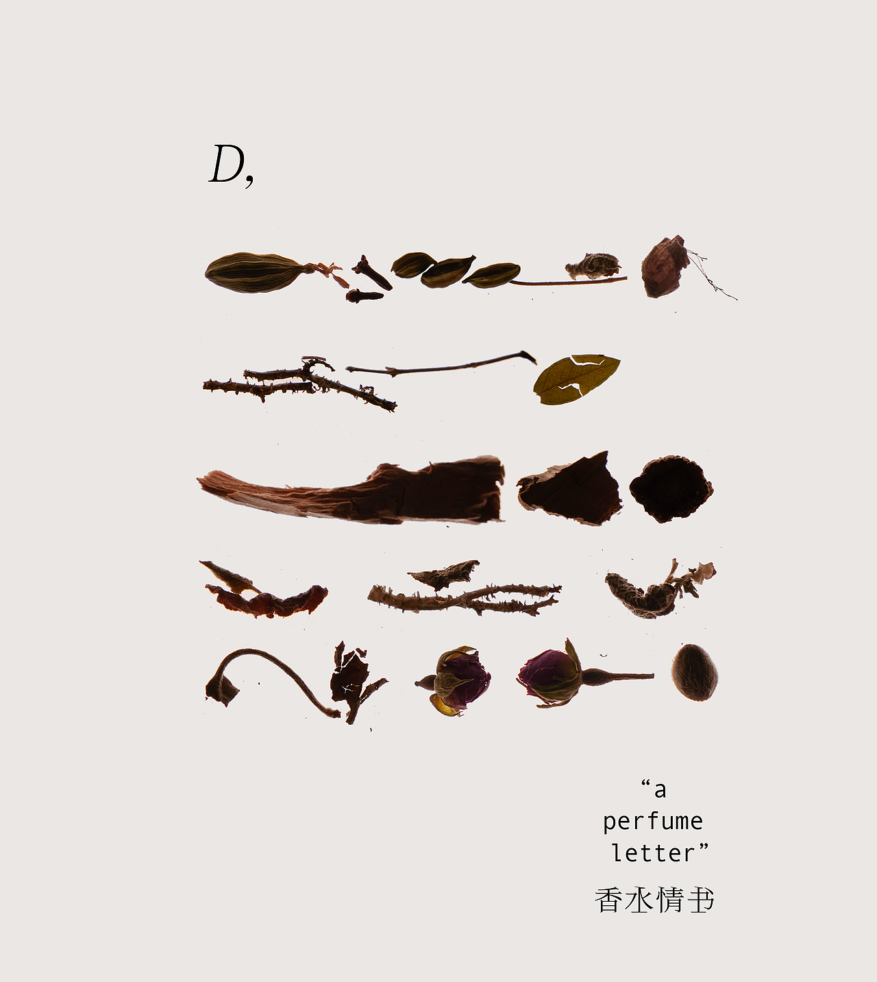 《香水情书》✖️合宜 拍摄案例