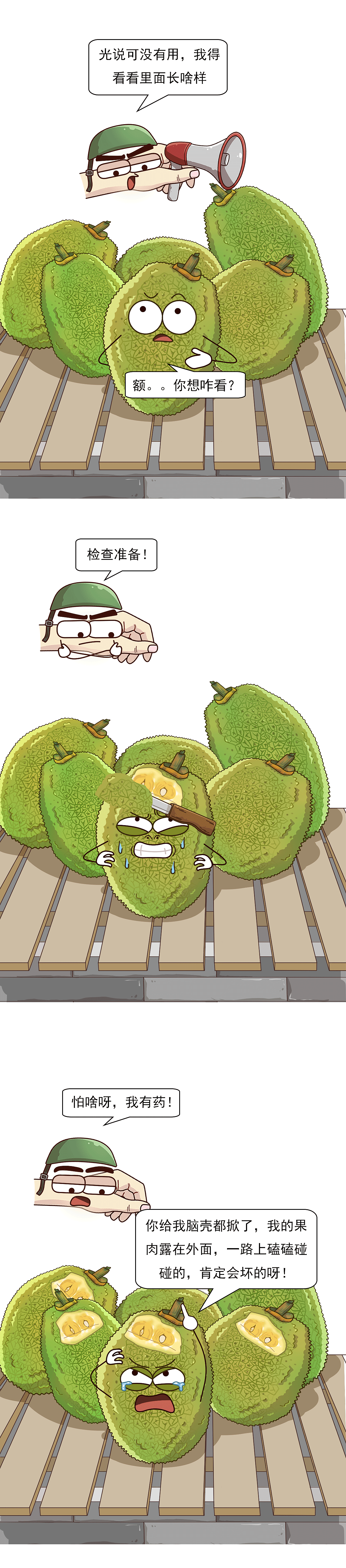 菠萝蜜上抹石灰,你知道为什么吗?