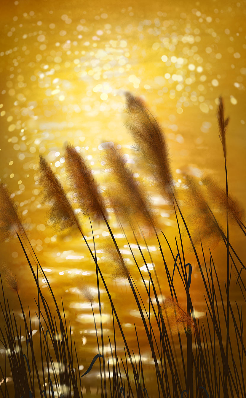 臨摹手繪練習(xí)（圖ZMzMzNTU1MjM2） - 繪畫 - 站酷設(shè)計師ChenSD原創(chuàng)素材 - 站酷ZCOOL