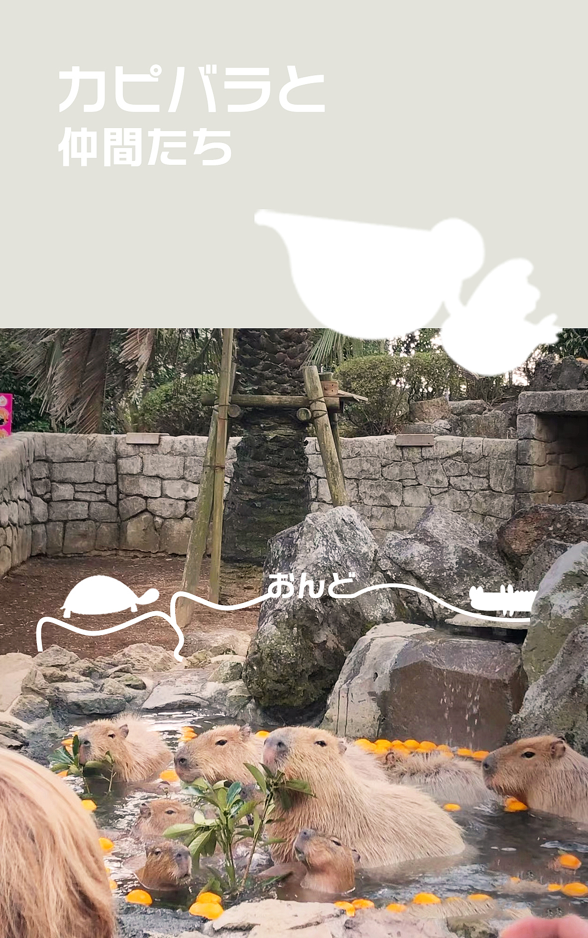 BRAND WORKS（图ZMzQ2MzAzNDQ0） - 品牌 - 站酷设计师Coagulation原创素材 - 站酷ZCOOL