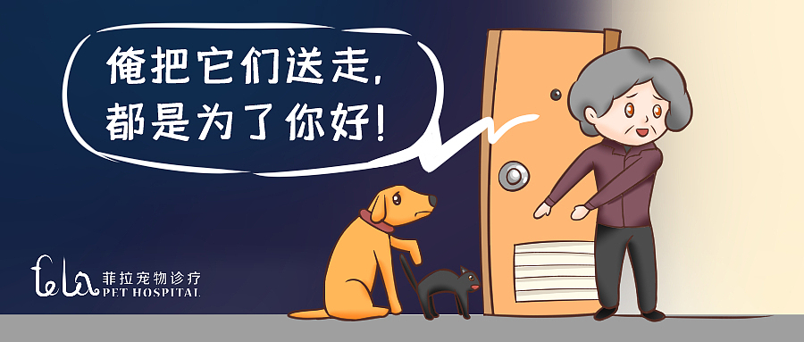 宠物医院漫画工作汇总