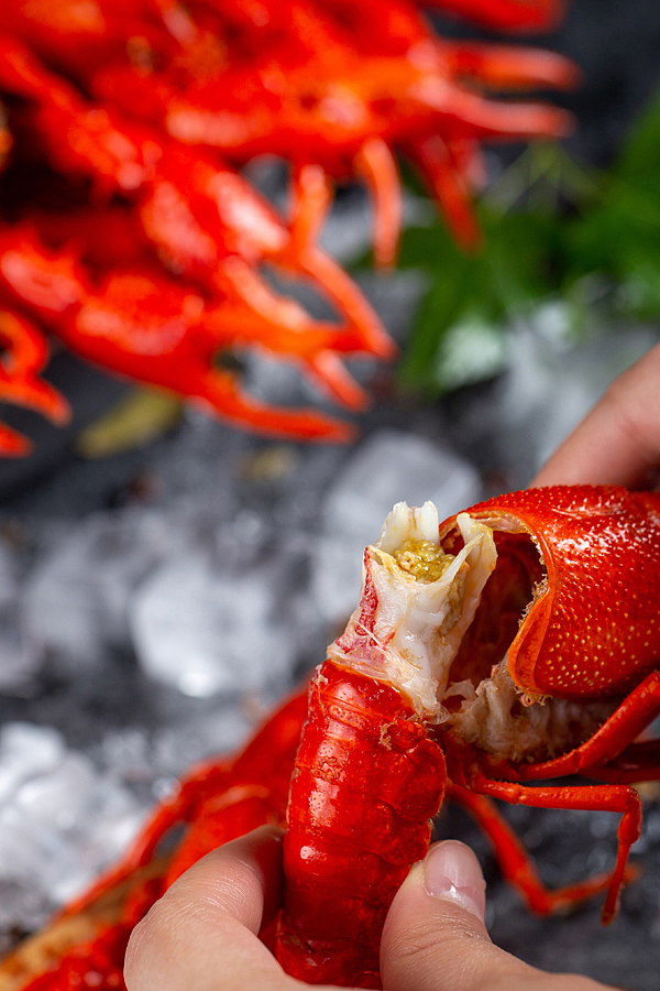 又见小龙虾（图ZMzYyNzA1Mzg4） - 美食摄影 - 站酷设计师哈尔滨尚品菜牌原创素材 - 站酷ZCOOL