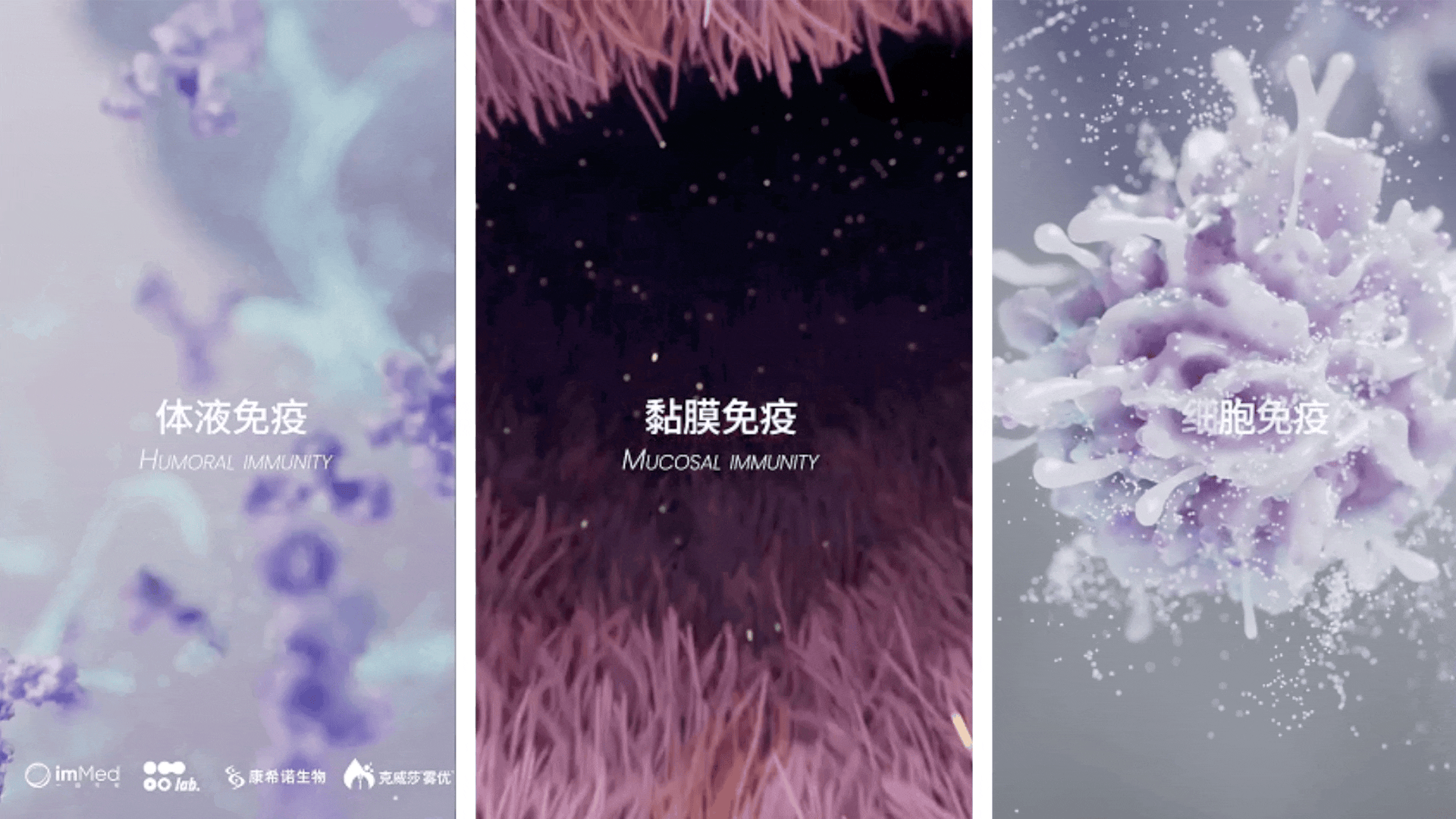 康希诺吸入式疫苗项目展示