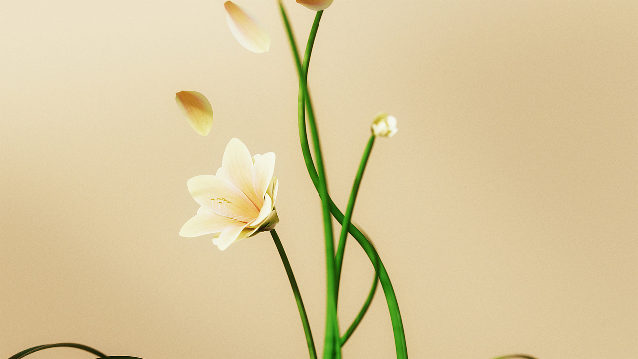 《新品车载香薰》动态广告