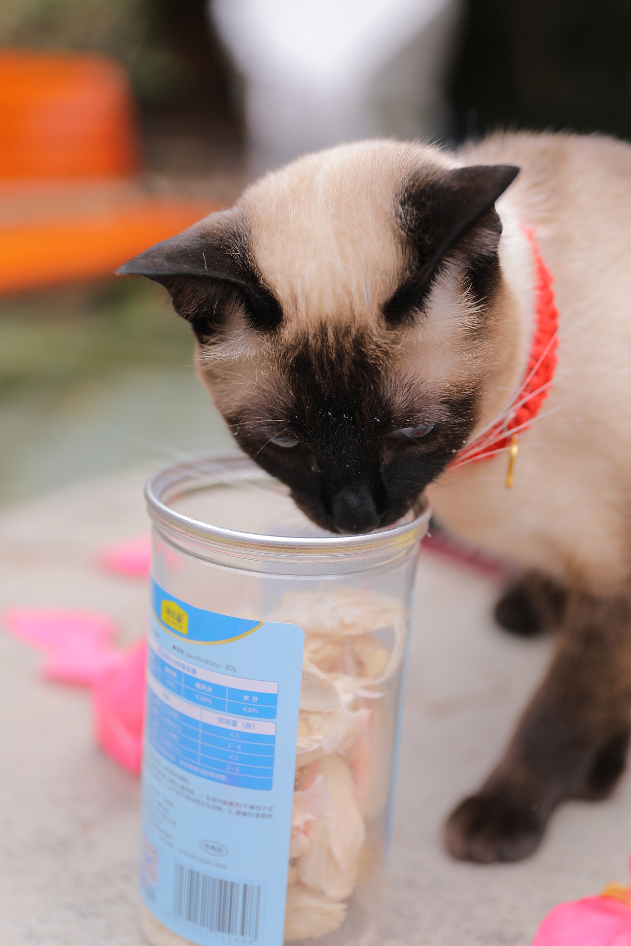 宠物猫（图ZMzY4MzEyMjQw） - 宠物摄影 - 站酷设计师zpping123原创素材 - 站酷ZCOOL