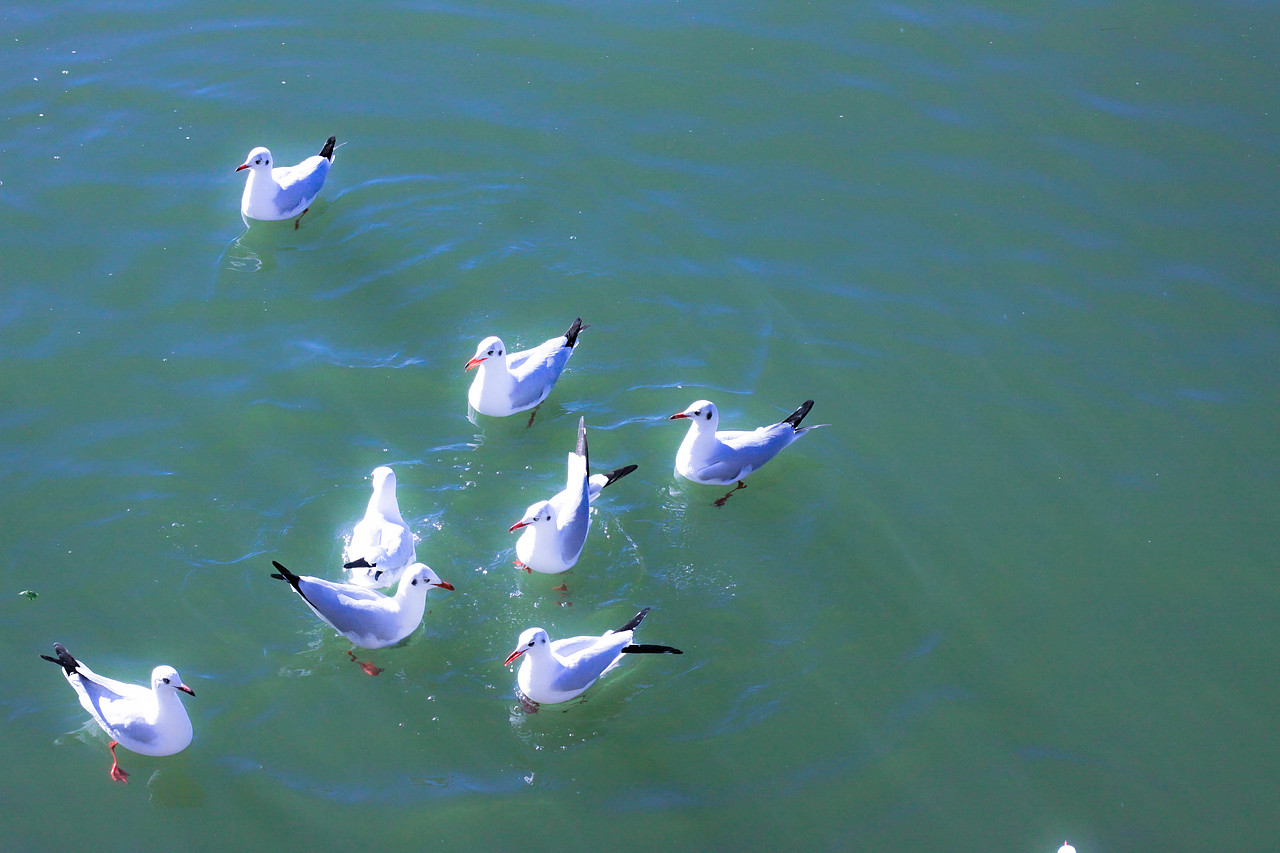 云南-大理旅游随记