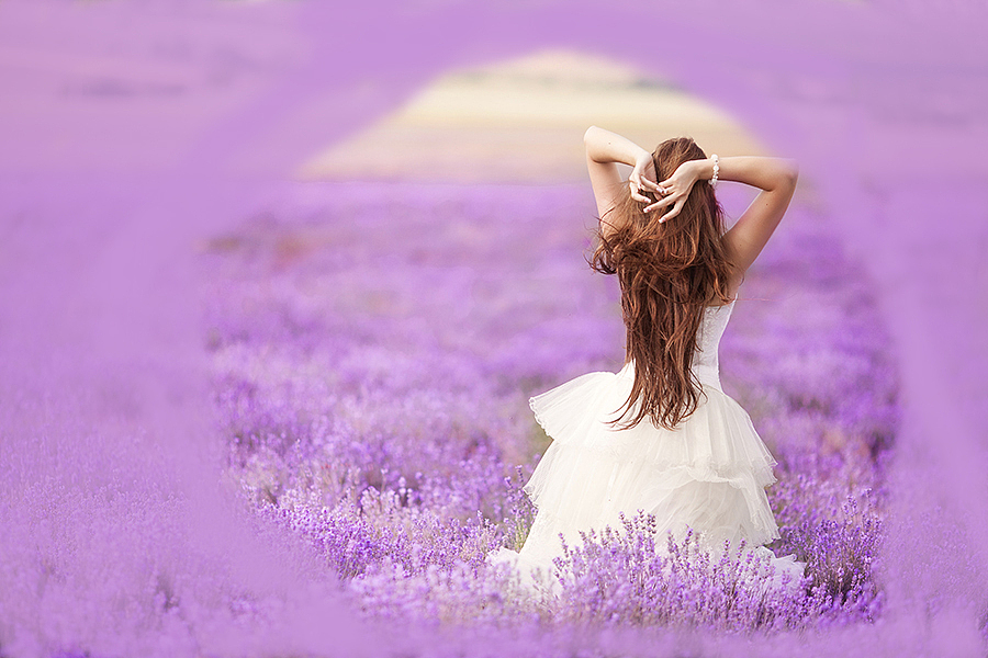 使用各种工具作图