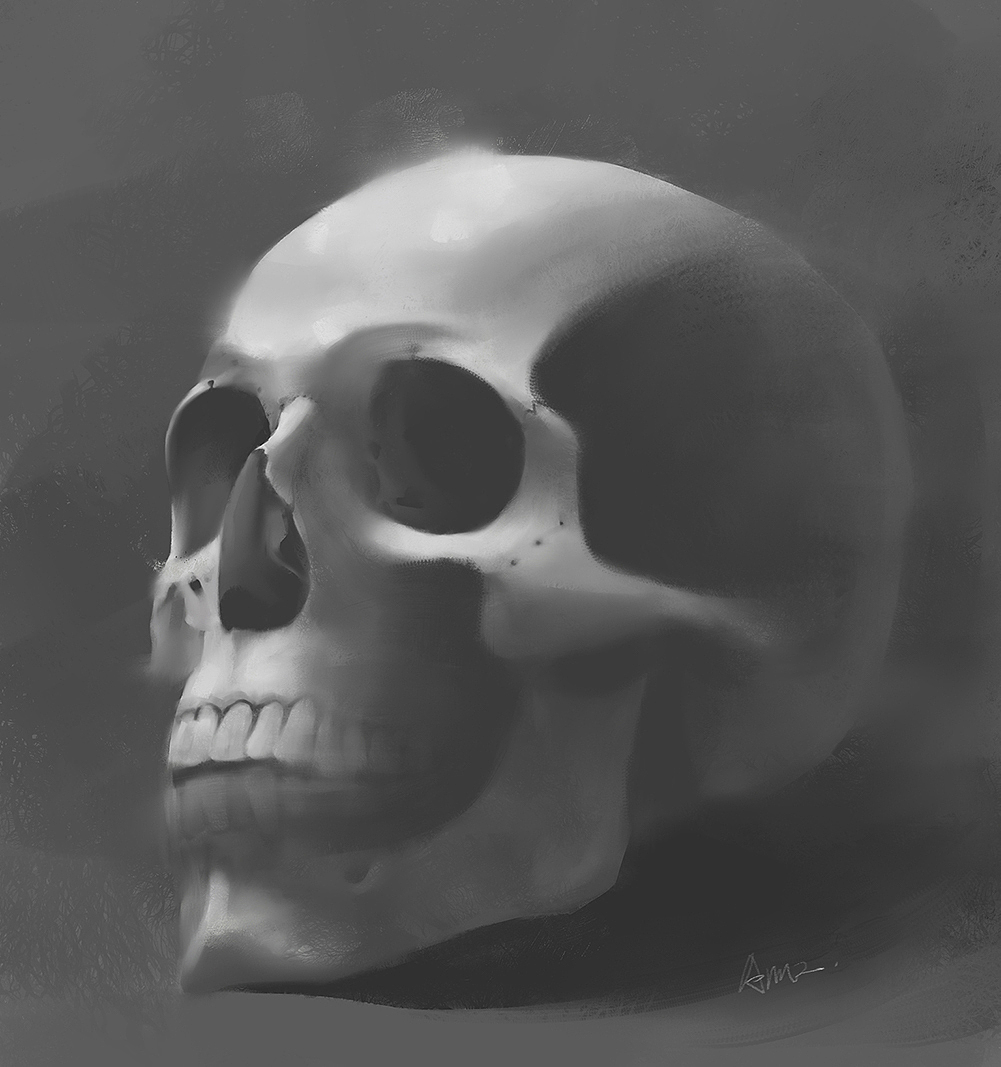 肖像结构练习（图ZMzA4Nzk3MDcy） - 创作习作 - 站酷设计师安之Annz原创素材 - 站酷ZCOOL