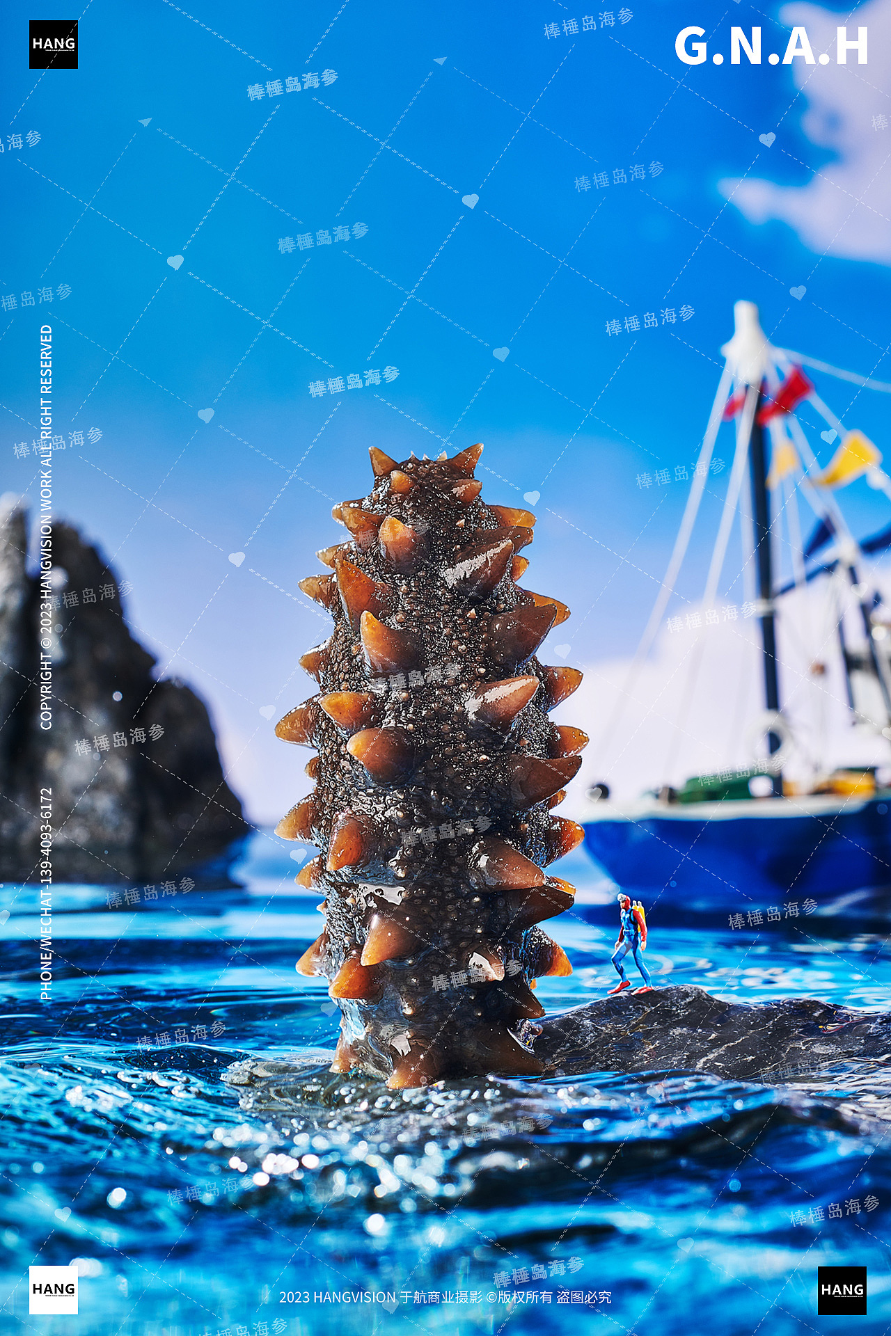 大连海参拍摄干海参即食海参棒棰岛野生海参海鲜拍摄