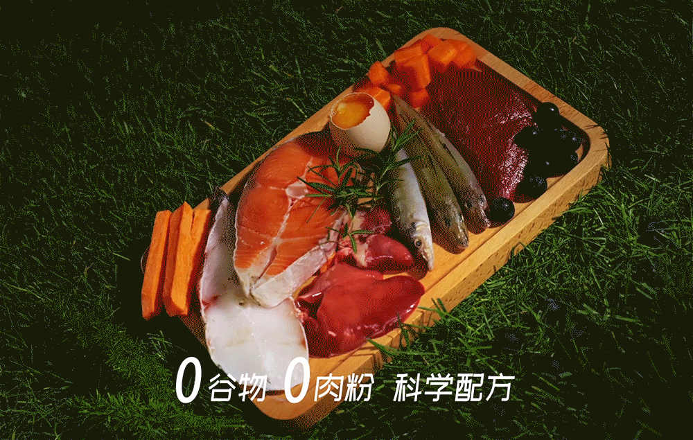 益生菌猫粮—视觉全案分享（图ZMzQ1MDU0ODky） - 电商 - 站酷设计师依佳人原创素材 - 站酷ZCOOL