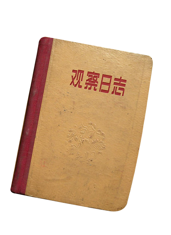 字体打卡-观察日记（图ZMzA0MzAzMTY4） - 字体/字形 - 站酷设计师壳子还是壳子原创素材 - 站酷ZCOOL