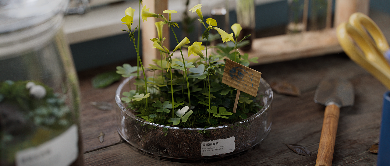 2023第一季度作品合集