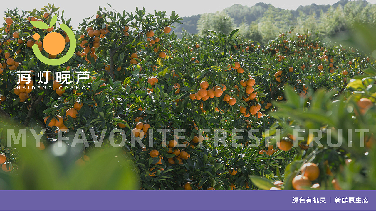 品牌设计|海灯晚炉 & 绿色有机果新鲜原生态