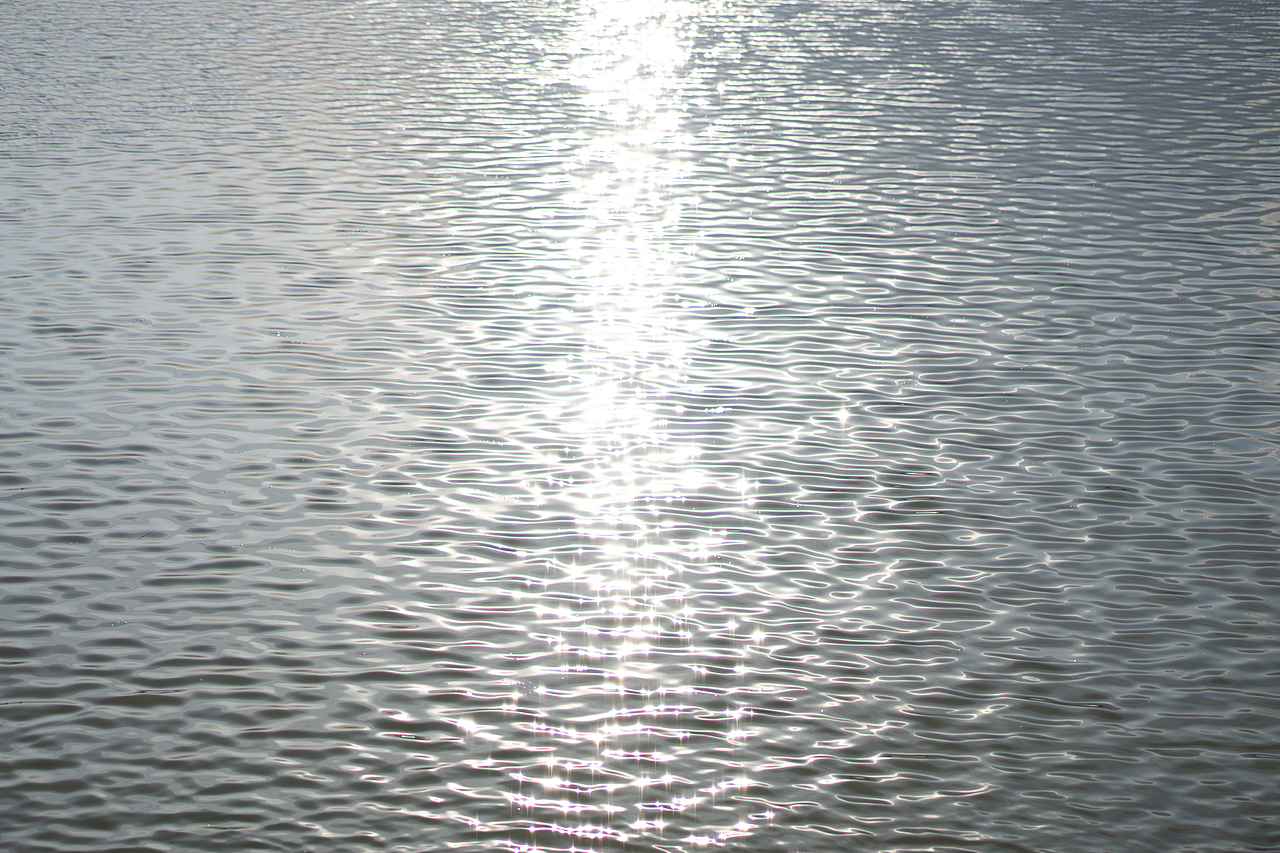 2021-2023丨年度摄影总结（图ZMzU4ODkxODQ0） - 其他摄影 - 站酷设计师陈子奕原创素材 - 站酷ZCOOL