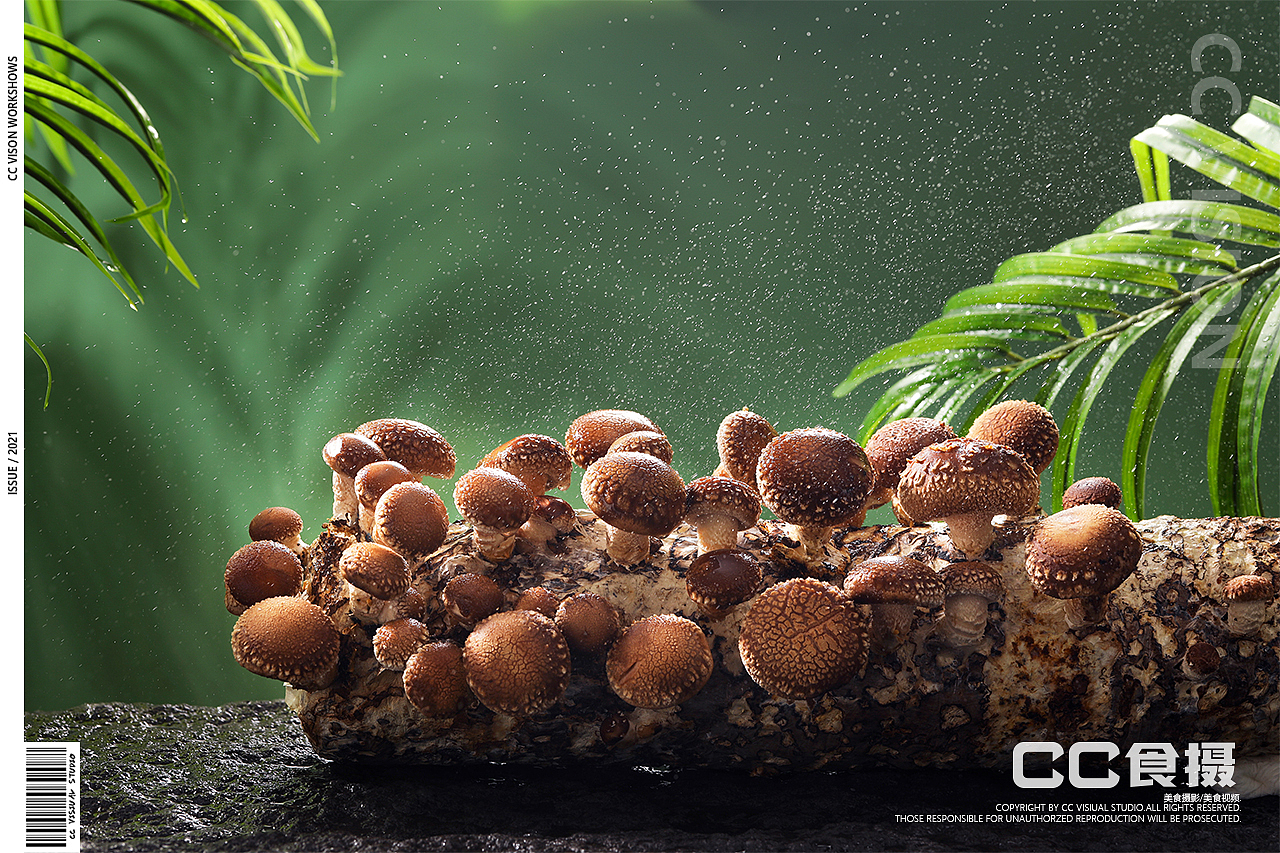 CC食摄&大檬椰.椰子鸡（图ZMzIzMzk1MDM2） - 美食摄影 - 站酷设计师CC食摄原创素材 - 站酷ZCOOL