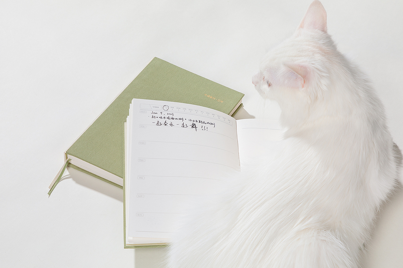 《江记酒庄》2023年日程本