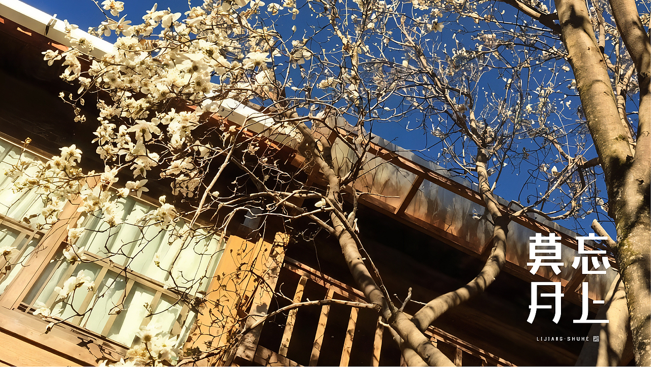 趣传®文旅 | 束河·莫忘月上®民宿品牌