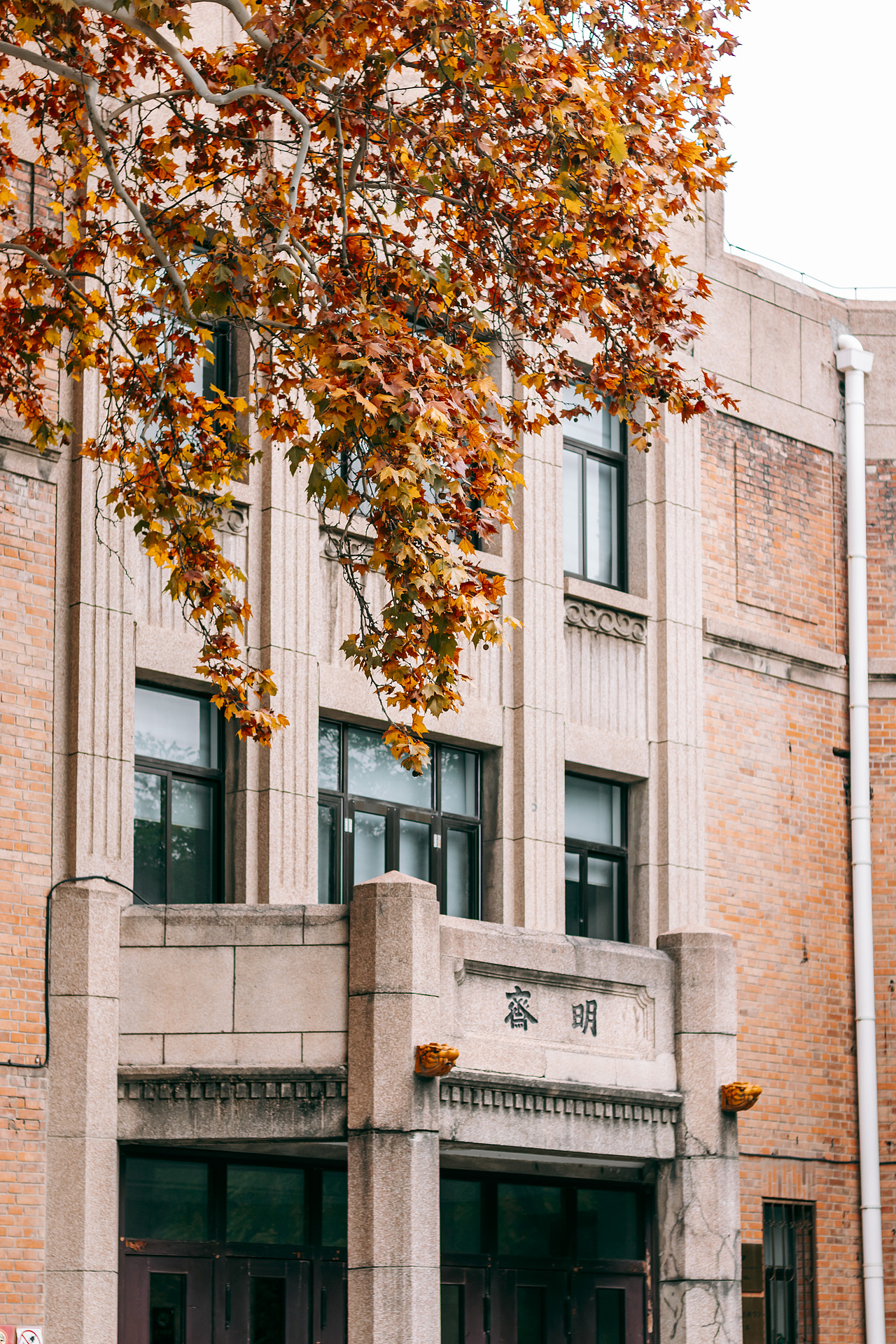水木清华，校园里的秋（图ZMzI0NjQ0MTI0） - 风光摄影 - 站酷设计师既明888原创素材 - 站酷ZCOOL