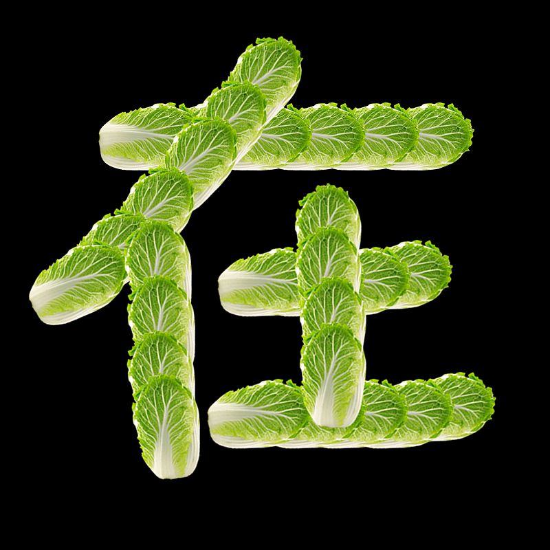 字体字形，白菜说2024