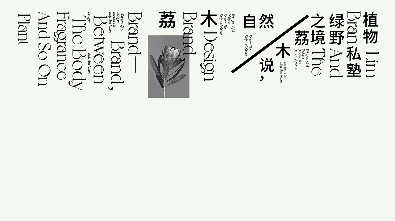 《荔木LIMM》品牌设计-身体与自然间的密码私语（图ZMzA0ODgwOTcy） - 品牌 - 站酷设计师你好大海品牌设计原创素材 - 站酷ZCOOL