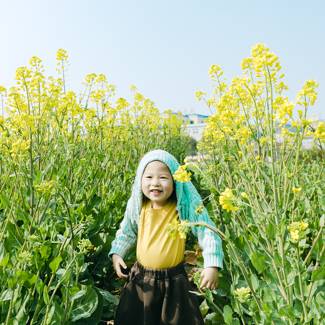 对啊，春天来了