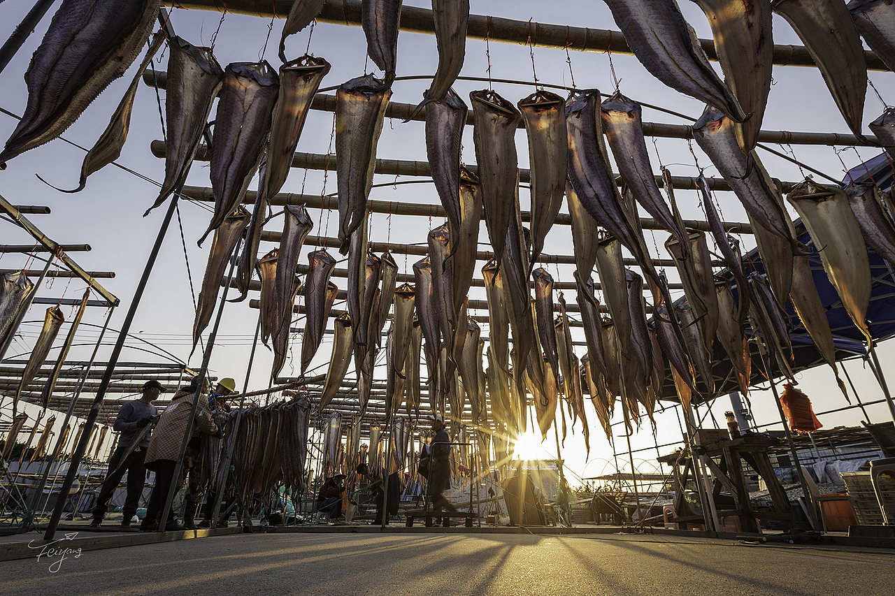 23张照片  代表过去的一年