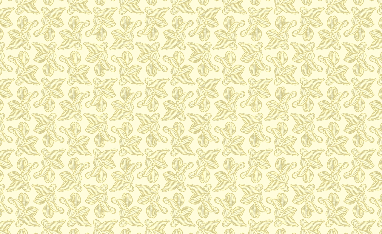 槐花蜂蜜及茶包裝設(shè)計（圖ZMzM4ODA0Njcy） - 包裝 - 站酷設(shè)計師白色印泥原創(chuàng)素材 - 站酷ZCOOL