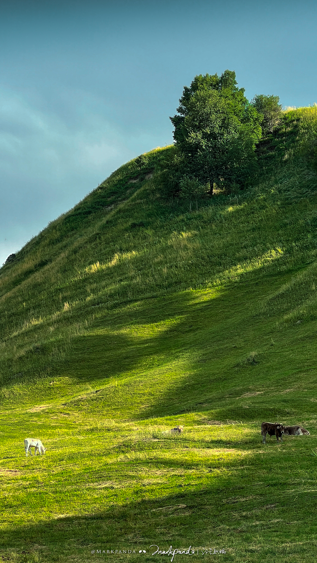 大地色盘-我眼中的新疆