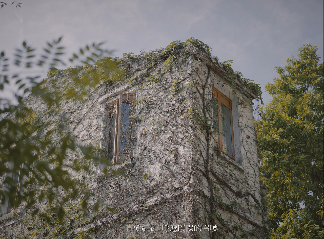 游曳色彩 · 倾仰微光